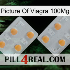 Picture Of Viagra 100Mg 25